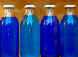 blue bottles