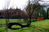 Racconigi - Italy