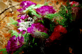 Plastic  flowers