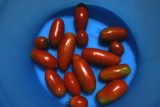 Tomatoes