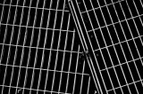 Lines b&w