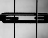 Lines b&w