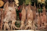 Nov 17  Squid on a stick