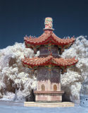 Nov 18 Infrared Oven