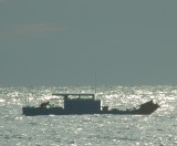 Nov 23 Chinese fishing boat