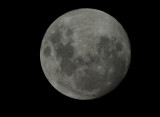 Apr 1   April Fools moon