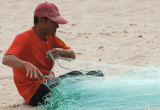 May 13   The Fisherman