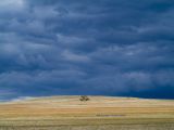 Tamworth storm