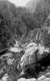 Découverte des Calanques en 1956 : En Vau