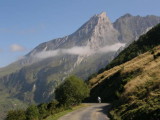 ... foncez, petite chose, le nez dans le guidon..