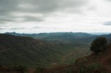 DSC_2538-01.jpg