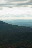 DSC_2543-01.jpg