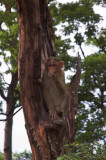 DSC_2580-01.jpg