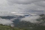 DSC_2934-01.jpg