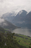 DSC_2950-01.jpg