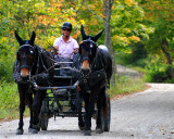 along the Battenkill in Arlington, VT - 9/07