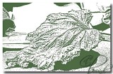 leaf chalk drawing.jpg