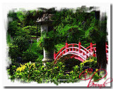 Japanese Garden.jpg