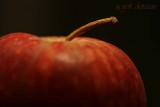 16 February <br> Red Apple