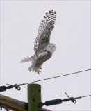 Lifting Off