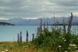 Lake Tekapo