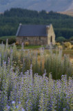 Sunrise at Lake Tekapo