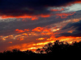 3-16-05 Salado Sunset.JPG