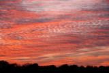 12-1 Sunset 2.jpg