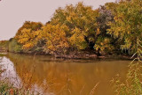 Fall Along Salado Creek.jpg