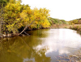 Fall Along Salado Creek 4.jpg