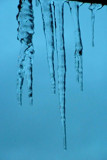 2007 Ice Storm 2.jpg