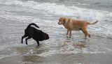 lucy and sam