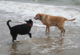 lucy and sam