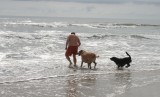 doug with his dogs