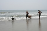 on the beach