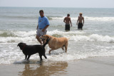 lucy, doug, sam, greg, and adam