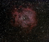 Rosette Nebula - NGC 2244