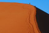 Up to the dune