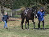 3-29-07 on the way to a dressage lesson 4507  r.jpg