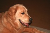Cody 0156r.jpg