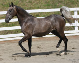7--26-07 Sennia 9642r.jpg
