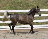 7--26-07 Sennia 9646r.jpg