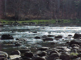Rocks in the Watauga River