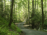 Roaring Forks Motor Nature Trail