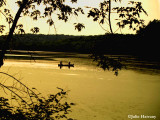 Peace on Radnor Lake