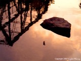 Harpeth River Reflection