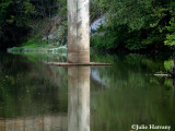 Bridge Piling Reflection