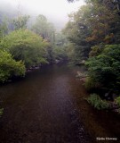 The Little River from a Swinging Bridge