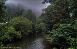 Little River from Swinging Bridge