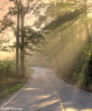 Road and Sun